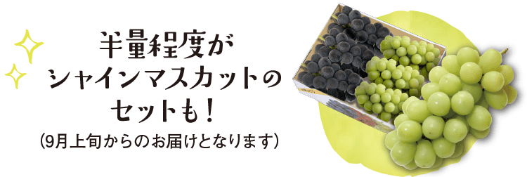 江崎ぶどう園おまかせぶどうセット