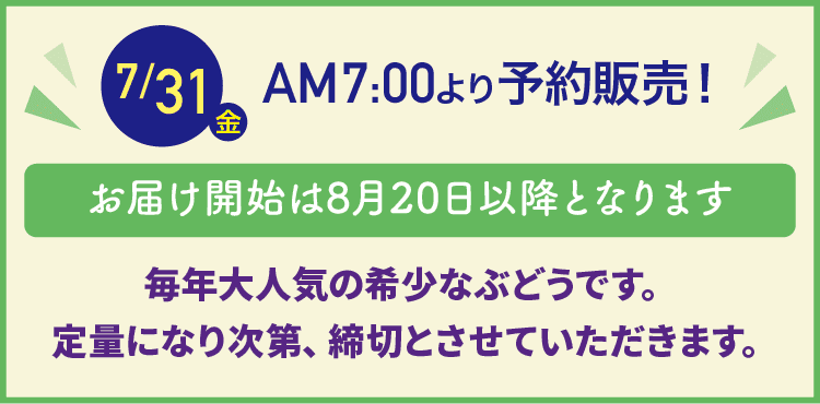 7月31日（金）AM7:00より予約販売 お届け開始は8月20日以降となります 毎年大人気の希少なぶどうです。 定量になり次第、締切とさせていただきます。