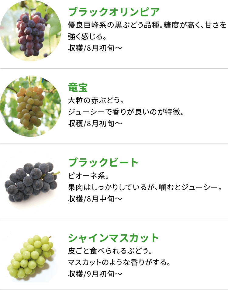 おいしさの秘密を教えて