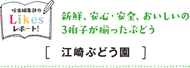 新鮮、安心・安全、おいしいの3拍子が揃ったぶどう
