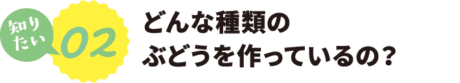 おいしさの秘密を教えて