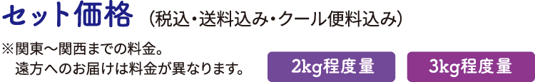 セット価格 ぶどう2〜3種類入りおまかせセット ぶどう1〜2種類入り+シャインマスカット（半量程度）セット
