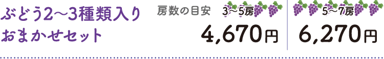 ぶどう2〜3種類入りおまかせセット 2kg程度量4,670円　3kg程度量6,270円