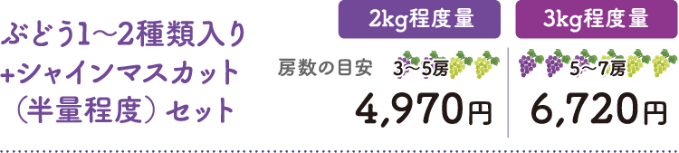 ぶどう1〜2種類入り+シャインマスカット（半量程度）セット 2kg程度量4,970円 3kg程度量6,720円