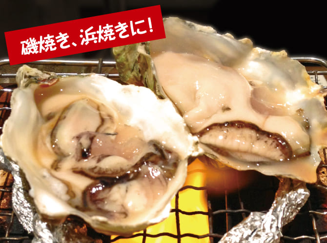 磯焼き、浜焼きに！